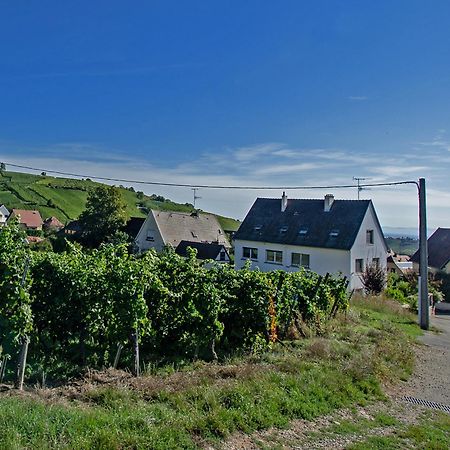 Gite Les Deux Belettes Riquewihr Eksteriør billede